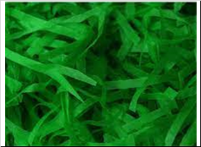 Shredded Paper Green (50 grams).